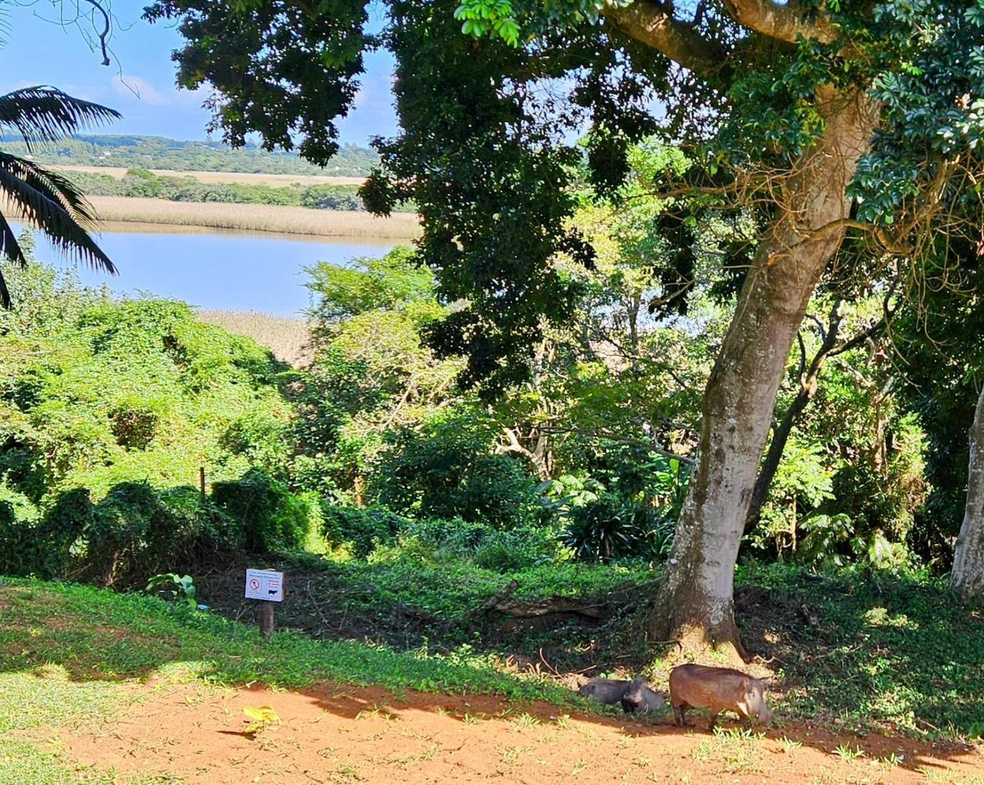 Saint Lucia Estuary Estuary Views At 6 The Bridge 아파트 외부 사진